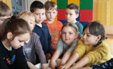 Żabki i ich ogródek