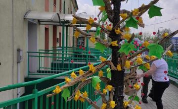 Bądź Zuchem,nie Kopciuchem!