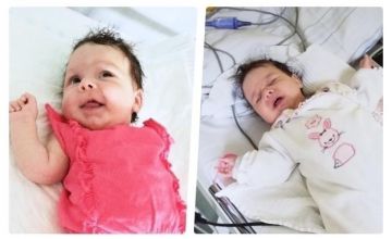 Koniec akcji Szafowanie dla Oliwki !