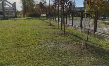 Plac Przedszkolny znów staje się  piękniejszy.