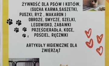 Zbiórka artykułów dla zwierząt z Kociej Przystani