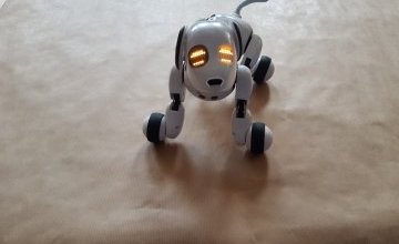 Zajęcia z robopsem.