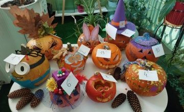 Konkurs "Nietypowa Dynia"