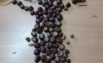 Jesienne kompozycje. Grupa Motylki.