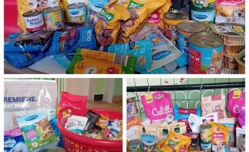 Zbiórka dla schroniska- dziękujemy