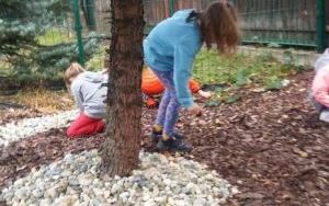 Wiewiórki pracują w ogrodzie przedszkolnym (2)