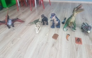 dinozaury (9)