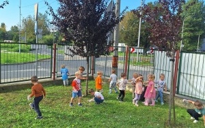 Ogólnopolska akcja „Sprzątanie Świata - Polska 2025” (15)