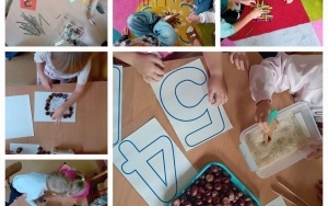 Wrzesień w   "Motylkach". (4)