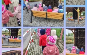 Październik w grupie Żabki. (8)