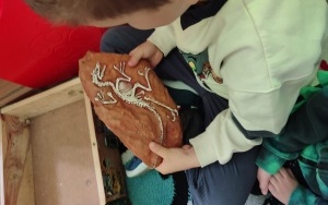 "W świecie dinozaurów " (6)