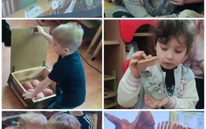 "W świecie dinozaurów " (8)